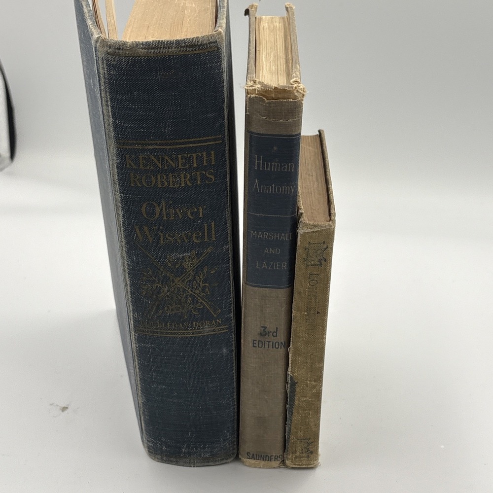 Vintage 3 Blue Brown Books Lot Staging Decor Retro Prop Shelf Mantle Centerpiece - Picture 5 of 8